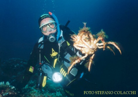 Grançeola nei pressi dell'Isola Foradadda